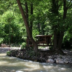 База отдыха Лесная заимка, Геленджик, Краснодарский край