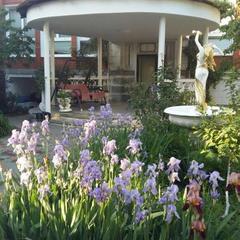 Гостевой дом Белая Невесточка, Геленджик, Краснодарский край