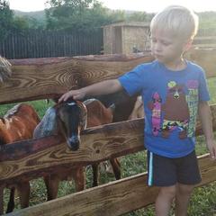 Усадьба Мармазинская щель, Геленджик, Краснодарский край