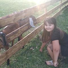 Усадьба Мармазинская щель, Геленджик, Краснодарский край