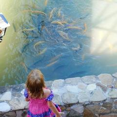 Усадьба Мармазинская щель, Геленджик, Краснодарский край