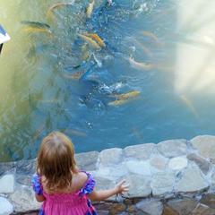 Усадьба Мармазинская щель, Геленджик, Краснодарский край