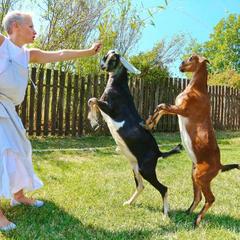 Усадьба Мармазинская щель, Геленджик, Краснодарский край