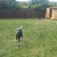 Усадьба Мармазинская щель, Геленджик, Краснодарский край