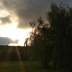 Усадьба Мармазинская щель, Геленджик, Краснодарский край