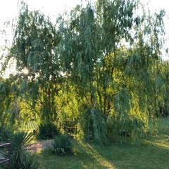 Усадьба Мармазинская щель, Геленджик, Краснодарский край