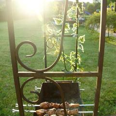 Усадьба Мармазинская щель, Геленджик, Краснодарский край