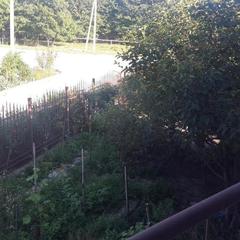 Гостевой дом Бердиков, Геленджик, Краснодарский край