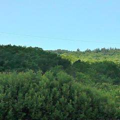 Усадьба Мармазинская щель, Геленджик, Краснодарский край