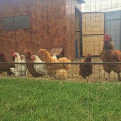 Гостиница Акварель, Гжель, Московская область