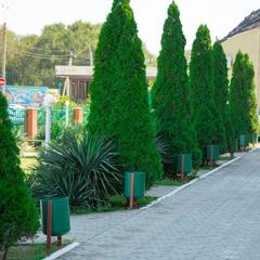 Отель Манго, Голубицкая, Краснодарский край