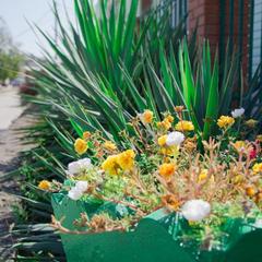 Отель Манго, Голубицкая, Краснодарский край