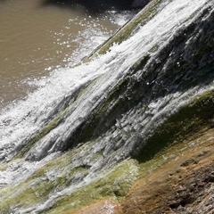 Гостевой дом Галатея, Геленджик, Краснодарский край