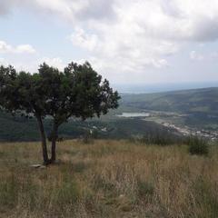 Гостевой дом Галатея, Геленджик, Краснодарский край