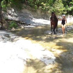 Гостевой дом Галатея, Геленджик, Краснодарский край