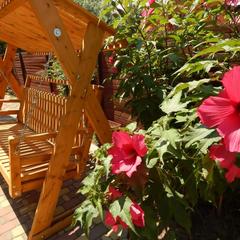 Гостевой дом Фламинго, Голубицкая, Краснодарский край