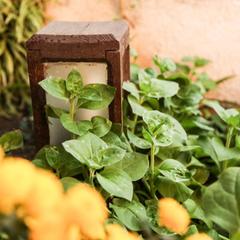 Гостевой дом Фламинго, Голубицкая, Краснодарский край