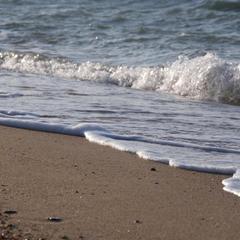 Гостевой дом 7 Морей, Голубицкая, Краснодарский край