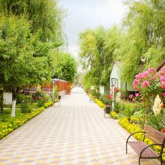 Гостевой комплекс Альтаир, Голубицкая, Краснодарский край