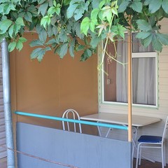 База отдыха Антей, Голубицкая, Краснодарский край