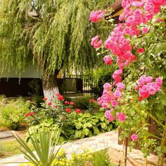 Гостевой комплекс Альтаир, Голубицкая, Краснодарский край