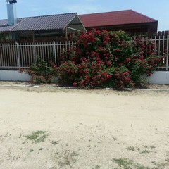 База отдыха Сатурн, Голубицкая, Краснодарский край