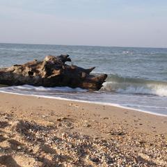 Гостевой дом 7 Морей, Голубицкая, Краснодарский край