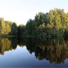 Гостевой дом На Чеснаве, Горелово, Ярославская область