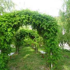 База отдыха Колос, Голубицкая, Краснодарский край