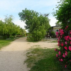 База отдыха Колос, Голубицкая, Краснодарский край