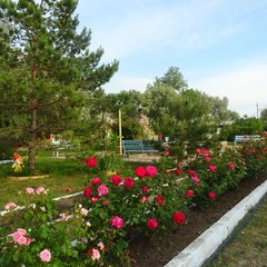 База отдыха Колос, Голубицкая, Краснодарский край