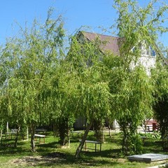 База отдыха Колос, Голубицкая, Краснодарский край