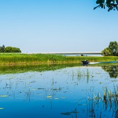 Турбаза Заречье, Горицы, Липецкая область