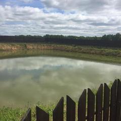 Мотель Очаг, Гороховец, Владимирская область