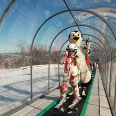 Гостиница Водолей, Гороховец, Владимирская область