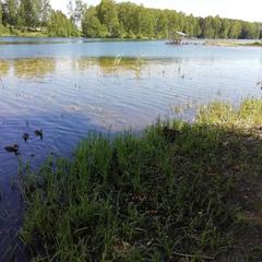 База отдыха Гашкино, Гороховец, Владимирская область