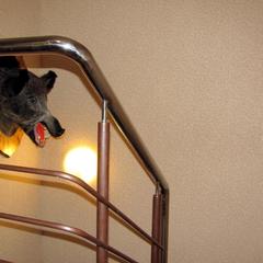 Мотель M7, Гороховец, Владимирская область