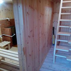 База отдыха Гашкино, Гороховец, Владимирская область