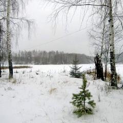 База отдыха Гашкино, Гороховец, Владимирская область