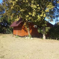 База отдыха Лукоморье, Горячий Ключ, Краснодарский край