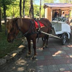 Отель Старый Замок, Горячий Ключ, Краснодарский край