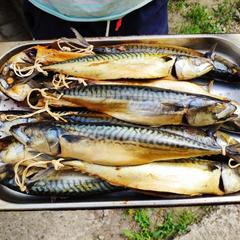 Гостиница Очаровательная Полянка, Горячий Ключ, Краснодарский край