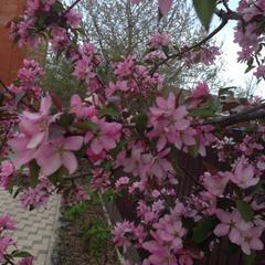 Гостевой дом МилаДом, Горячий Ключ, Краснодарский край