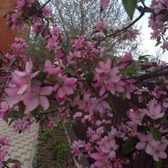 Гостевой дом МилаДом, Горячий Ключ, Краснодарский край