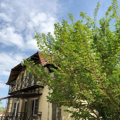 Гостевой дом Оазис (Горячий Ключ, Краснодарский край), Горячий Ключ, Краснодарский край