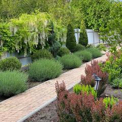 Гостевой дом Саксония, Горячий Ключ, Краснодарский край