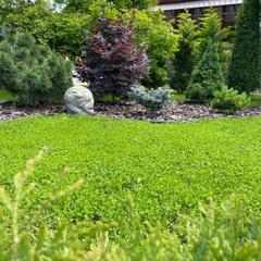 Гостевой дом Саксония, Горячий Ключ, Краснодарский край