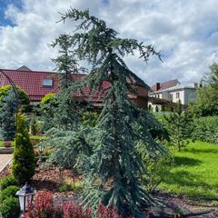 Гостевой дом Саксония, Горячий Ключ, Краснодарский край