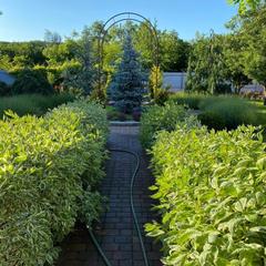 Гостевой дом Саксония, Горячий Ключ, Краснодарский край