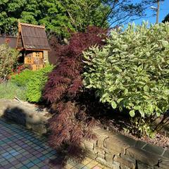 Гостевой дом Саксония, Горячий Ключ, Краснодарский край